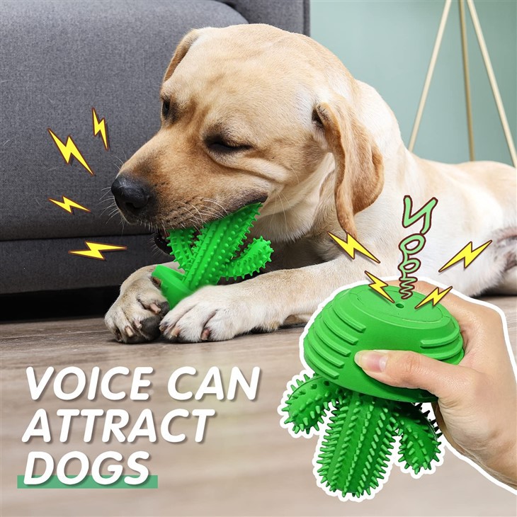 Silicone Dog Toys